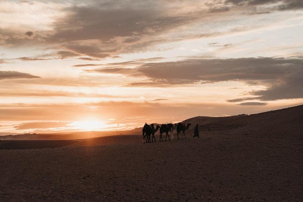 Architecture contemporaine des yurtes BE Agafay